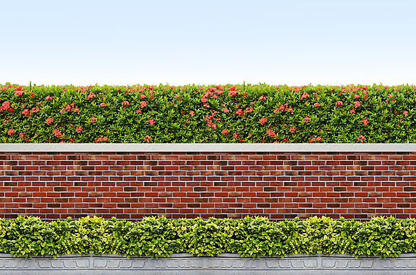 포토 JPG 해외이미지 나무 식물 공원 꽃잎 꽃 꽃다발 백그라운드 잎 꽃무늬 패턴 자연 벽지 사람없음 장식 빨간색 초록색 컬러풀 정원 성장 벚꽃 신선 개화 숲 관목 질감 내추럴 해외202004 해외포토 공공시설 컬러 무늬 생태계 파일형식 이미지허브