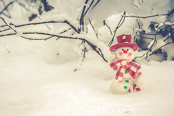 포토 JPG 해외이미지 나무 계절 백그라운드 크리스마스 겨울 눈사람 휴가 새해 크리스마스카드 풍경 사람없음 야외 장식 빨간색 얼음 목도리 추위 나뭇가지 축하 인사 숲 엽서 해피뉴이어 북쪽 노엘 크리스마스이브 크리스마스배경 해외202004 해외포토 자연요소 식물 잡화 기념일 컬러 컨셉 카드_감사 새해인사 예절 편지 방향 파일형식 이미지허브