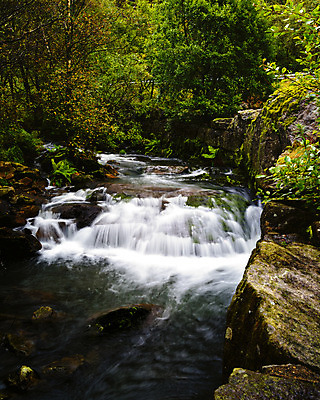 포토 JPG 해외이미지 나무 유럽 자연 산 북유럽 노르웨이 풍경 사람없음 야외 물 폭포 가을 암초 삼림지대 스칸디나비아 해외202004 해외포토 자연요소 식물 계절 나라 숲 생태계 파일형식 이미지허브