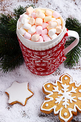 포토 JPG 해외이미지 행복 어린이 음식 백그라운드 크리스마스 겨울 휴식 따뜻함 사람없음 장식 컵 빨간색 빛 쿠키 초콜릿 얼음 축제 우유 머그컵 흰색 축하 뜨거움 달콤 니트 마시멜로우 안락 해외202004 해외포토 자연요소 식기 계절 기념일 감정 컬러 컨셉 상의 디저트 유제품 사람 맛 파일형식 이미지허브