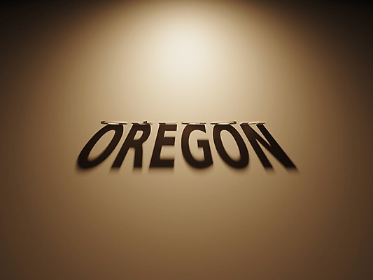 포토 JPG 해외이미지 일러스트 사람없음 3D 미국 투표 선거 민주주의 법 최초 공화국 대통령 정책 정치 헌법 해외202004 해외포토 나라 북아메리카 디지털합성 파일형식 이미지허브