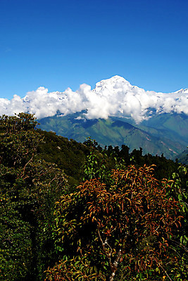 포토 JPG 해외이미지 나무 구름 아시아 여행 백그라운드 자연 하늘 산 파노라마 풍경 경사 사람없음 초록색 물 파란색 빛 걷기 환경 계곡 얼음 등산 트래킹 흰색 시골 저녁 숲 빙하 오르기 네팔 산악지대 웅장함 절정 히말라야 눈내림 해외202004 해외포토 자연요소 식물 나라 컬러 모션 레저 눈_날씨 촬영기법 야간 생태계 파일형식 산맥 이미지허브