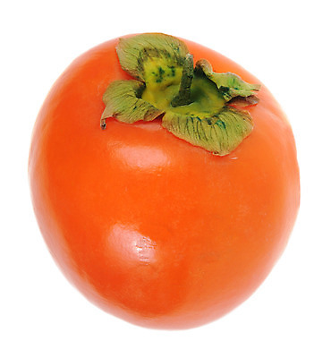 포토 JPG 해외이미지 실내 감 사람없음 흰배경 해외202004 해외포토 백그라운드 과일 내부 흰색 파일형식 이미지허브