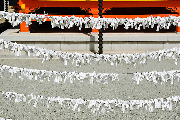 포토 JPG 해외이미지 전통 아시아 종교 종이 문화 여행 백그라운드 불교 미래 동양인 사람없음 믿음 일본 희망 흰색 기도 운명 최고 사찰 행운 재산 축복 도쿄 묶기 기회 매듭 신성 복권 사당 숭배 신앙심 접기 해외202004 해외포토 감정 나라 컬러 컨셉 종교건축 모션 인종 금융 파일형식 이미지허브