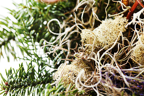 포토 JPG 해외이미지 나무 식물 전통 계절 별 크리스마스장식 크리스마스 공 휴가 사람없음 장식 빛 장난감 반사 축제 장식볼 나뭇가지 축하 시간 신용카드 황금 우아함 연도 전나무 가문비나무 해외202004 해외포토 자연요소 기념일 컨셉 금융 파일형식 이미지허브