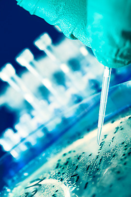 포토 JPG 해외이미지 접시 손 과학 장갑 실험 사람없음 신체부위 초록색 노란색 선택 보호 생명공학 일회용 플라스틱 약국 미생물 튜브 박테리아 라텍스 신발장 제어 해외202004 해외포토 식기 잡화 컬러 컨셉 의학 재질 생물 사람 파일형식 이미지허브