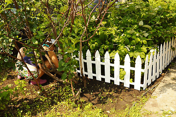 포토 JPG 해외이미지 나무 식물 백인 계절 꽃 백그라운드 꽃무늬 자연 사람 앉기 취미 사람없음 야외 초록색 여름 달리기 햇빛 태양 농장 환경 정원 봄 성장 시골 업무 농부 유기농 원예 내추럴 밭일 숨기 안뜰 원예사 세련 해외202004 해외포토 자연요소 서양인 직업 웰빙 컬러 무늬 농업 모션 작업 생태계 파일형식 이미지허브