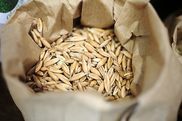 포토 JPG 해외이미지 식물 음식 빵 줄기 밭 농업 건조 건강 옥수수 씨앗 사람없음 농작물 농장 노란색 식사 수확 껍질 흰색 시골 못 황금 농부 낟알 밀 알맹이 귀 밀짚 내추럴 밭일 호밀 해외202004 해외포토 직업 산업 컬러 곡류 신체부위 공구 짚 파일형식 이미지허브