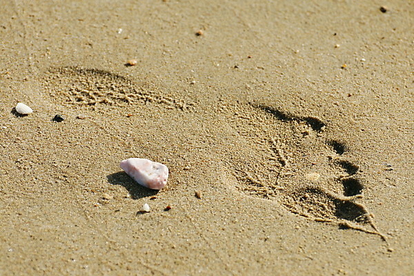포토 JPG 해외이미지 선 모래 파도 바다 여행 백그라운드 자연 하늘 휴가 휴식 풍경 사람없음 야외 가로 물 여름 파란색 태양 환경 조약돌 바위 흰색 보트 수평선 해외202004 해외포토 자연요소 계절 컬러 컨셉 배_교통 돌_바위 생태계 파일형식 이미지허브