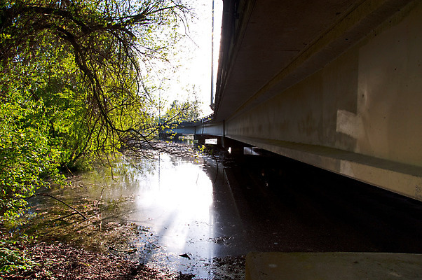 포토 JPG 해외이미지 도로 길 건축양식 자연 사람없음 야외 물 도시 고가도로 고속도로 시멘트 구름다리 시애틀 지원 콘크리트 해외202004 해외포토 자연요소 건축 교통시설 다리_건축물 생태계 파일형식 이미지허브