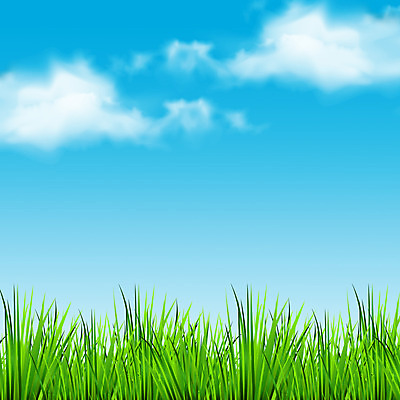 포토 JPG 해외이미지 템플릿 디자인 꽃 밭 자연 하늘 아침 날씨 풍경 사람없음 초록색 파란색 태양 맑음 봄 그림 내추럴 생태학 현실 해외202004 해외포토 주간 자연요소 식물 계절 교육 컬러 농업 생태계 파일형식 이미지허브