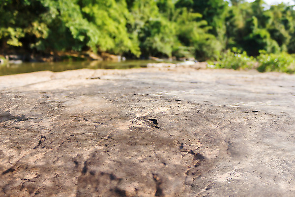 포토 JPG 해외이미지 나무 백그라운드 자연 표면 바닥 사람없음 초록색 물 강 우주 공백 폭포 바위 개울 정상 질감 지역 해외202004 해외포토 자연요소 식물 컬러 돌_바위 생태계 파일형식 이미지허브
