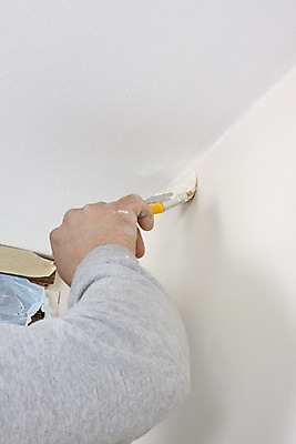 포토 JPG 해외이미지 백인 직업 1 남자 행복 벽 자연 휴식 노동자 아파트 주택 실내 미소 사람 사람없음 장식 초록색 우주 환경 페인트 흰색 공구 업무 얼룩 수리 만족 그림 진열장 롤러 페인트붓 화가 업그레이드 조작 프로젝트 해외202004 해외포토 서양인 감정 컬러 컨셉 표정 내부 건물 도구 붓 작업 생태계 파일형식 이미지허브