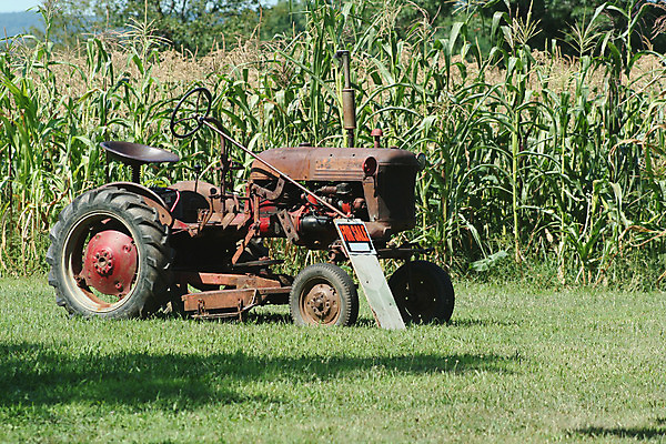 포토 JPG 해외이미지 산업 육상교통 밭 농업 사람없음 초록색 농장 기계 장비 골동품 시골 바퀴 클래식 농부 트랙터 엔진 구식 밭일 옛날 해외202004 해외포토 직업 교통수단 컬러 컨셉 농기계 특수차량 파일형식 이미지허브