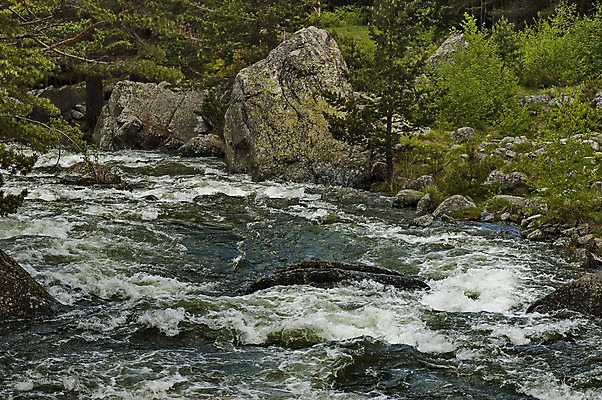 포토 JPG 해외이미지 나무 식물 계절 파도 여행 모션 자연 풍경 사람없음 초록색 물 여름 강 여행객 환경 흐름 바위 소나무 개울 닫기 숲 그림 침엽수 내추럴 불가리아 점화 해외202004 해외포토 자연요소 바다 컬러 컨셉 사람 돌_바위 생태계 파일형식 남유럽 이미지허브