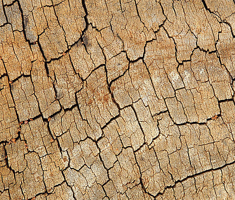 포토 JPG 해외이미지 나무 식물 선 벽 백그라운드 십자가 패턴 부분 자연 벽지 표면 추상 사람없음 목재 갈색 성장 반지 소나무 원형 거친 균열 널 낟알 자르기 묘사 질감 통나무 나무껍질 잡동사니 내추럴 그런지 수목 옛날 해외202004 해외포토 도형 컬러 무늬 재료 장신구 모션 껍질 생태계 파일형식 이미지허브