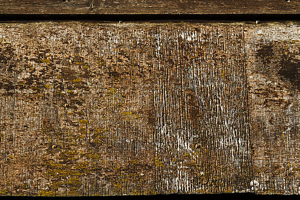 포토 JPG 해외이미지 백그라운드 패턴 추상 사람없음 목재 갈색 어둠 손상 골동품 시골 거친 질감 구식 옛날 카피스페이스 해외202004 해외포토 나무 컬러 컨셉 무늬 재료 공백 파일형식 이미지허브