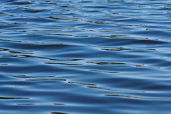 포토 JPG 해외이미지 호수 물결 백그라운드 패턴 모션 자연 조류 표면 추상 프레임 사람없음 가로 물 여름 파란색 강 반사 환경 사진촬영 어둠 침묵 회색 젖음 연못 신선 액체 매끈함 질감 내추럴 남아프리카 민물 에센스 엘리먼트 잔물결 해외202004 해외포토 자연요소 동물 계절 컬러 무늬 아프리카 촬영 소리 화장품 감각 생태계 파일형식 이미지허브