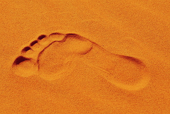 포토 JPG 해외이미지 길 모래 오렌지 아프리카 자연 건조 풍경 사람없음 야외 세로 여름 모래사장 햇빛 태양 걷기 우주 트래킹 사막 발자국 모래언덕 질감 모로코 단계 사하라 내추럴 루트 방법 선로 해외202004 해외포토 자연요소 계절 나라 바다 과일 자국 모션 레저 언덕 생태계 파일형식 이미지허브