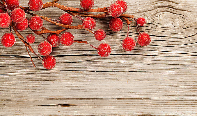 포토 JPG 해외이미지 계절 열매 별 백그라운드 크리스마스 추상 휴가 선물 사람없음 목재 장식 빛 반짝임 축제 화환 활발 나뭇가지 축하 소프트포커스 부드러움 카피스페이스 해외202004 해외포토 자연요소 나무 식물 기념일 꽃 컨셉 무늬 재료 모션 촬영기법 공백 감각 파일형식 이미지허브