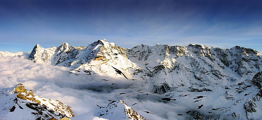 포토 JPG 해외이미지 배너 응시 유럽 문화 여행 돈 겨울 자연 하늘 스키 산 파노라마 풍경 사람없음 꿈 흰색 관찰 스위스 알프스 각도 천국 사방 웅장함 절정 해외202004 해외포토 시선 계절 나라 컬러 모션 겨울스포츠 촬영기법 재산 생태계 파일형식 이미지허브