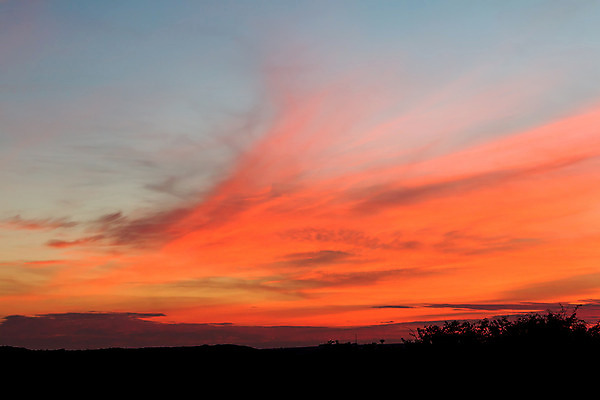 포토 JPG 해외이미지 나무 구름 실루엣 분홍색 백그라운드 오렌지 자연 하늘 추상 잉글랜드 사람없음 여름 파란색 태양 평화 일몰 분위기 7월 내추럴 서식스 사우스다운스 해외202004 해외포토 자연요소 식물 계절 컬러 컨셉 무늬 과일 영국 촬영기법 노을 날짜 생태계 파일형식 이미지허브