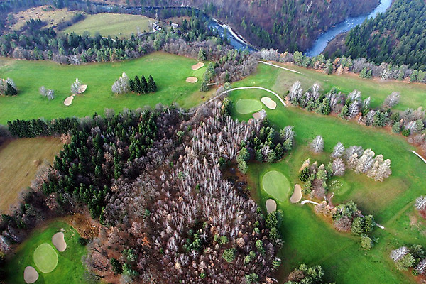 포토 JPG 해외이미지 나무 라이프스타일 스포츠 여행 패턴 골프 휴가 안테나 풍경 사람없음 야외 초록색 물 강 우주 게임 흰색 원형 숲 강의 슬로베니아 해외202004 해외포토 자연요소 도형 식물 유럽 컬러 무늬 통신 놀이 생활 구기 파일형식 이미지허브