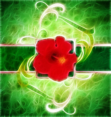 포토 JPG 해외이미지 식물 디자인 계절 꽃잎 꽃 종이 줄기 분홍색 꽃다발 백그라운드 잎 꽃무늬 패턴 일러스트 자연 벽지 추상 휴가 프레임 미술 사람없음 장식 빨간색 초록색 노란색 정원 봄 공백 벚꽃 그림 질감 층 내추럴 그런지 옛날 해외202004 해외일러스트 컬러 무늬 문화예술 생태계 파일형식 이미지허브