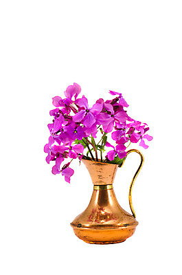 포토 JPG 해외이미지 식물 디자인 계절 꽃 꽃다발 백그라운드 꽃무늬 자연 사람없음 장식 금속 정원 꽃병 봄 수확 골동품 벚꽃 흰색 신선 조끼 항아리 클래식 오브젝트 복고 청동 유리주전자 고립 놋쇠 해외202004 해외포토 컬러 컨셉 무늬 농업 유리 재질 주전자 외투 도자기 생태계 파일형식 이미지허브