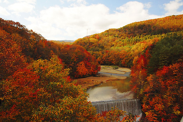 포토 JPG 해외이미지 주간 구름 단풍 자연 하늘 단풍나무 산 풍경 사람없음 야외 가을풍경 폭포 가을 개울 이와테 해외202004 해외포토 자연요소 나무 계절 잎 강 일본 생태계 파일형식 가을_계절 이미지허브