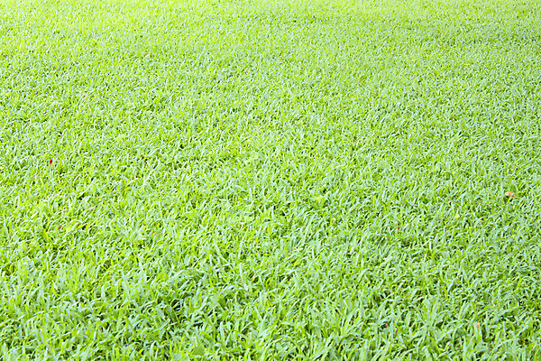 포토 JPG 해외이미지 계절 백그라운드 골프 골프장 부활절 잔디 사람없음 야외 세로 초록색 여름 하이앵글 컬러풀 봄 조감도 카피스페이스 해외202004 해외포토 식물 기념일 뷰포인트 컬러 스포츠시설 구기 공백 파일형식 이미지허브