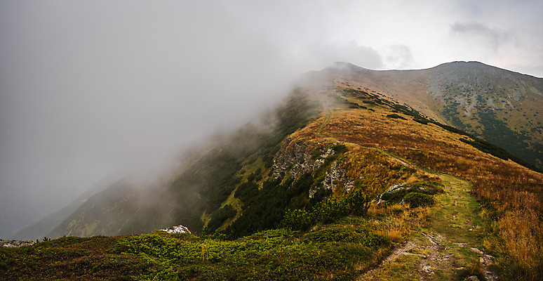 포토 JPG 해외이미지 식물 구름 길 여행 자국 자연 하늘 산 파노라마 풍경 경사 사람없음 야외 초록색 여름 갈색 하이킹 안개 씻기 언덕 암초 흐림 오르막 슬로바키아 해외202004 해외포토 자연요소 계절 유럽 컬러 레저 날씨 촬영기법 청결 생태계 파일형식 이미지허브