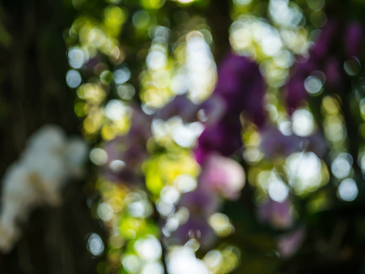 포토 JPG 해외이미지 도로 여행 백그라운드 크리스마스 교통시설 모션 자동차 추상 거리 사람없음 아웃포커스 빨간색 파란색 빛 노란색 검은색 어둠 활발 도시 고급 야간 소프트포커스 출퇴근 방콕 보케 정의 방법 블러 많음 유흥 해외202004 해외포토 자연요소 기념일 길 육상교통 컬러 교통 컨셉 무늬 비즈니스 태국 촬영기법 시설 파일형식 이미지허브