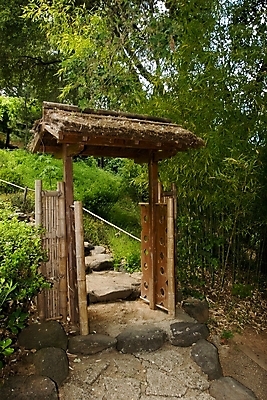 포토 JPG 해외이미지 나무 식물 공원 선 자연 동양인 사람없음 야외 초록색 물 여름 강 반사 평화 정원 일본 맑음 침묵 고요 연못 숲 대나무 명상 아치 조경 캘리포니아 내추럴 해외202004 해외포토 자연요소 계절 공공시설 아시아 컬러 컨셉 날씨 인종 미국 소리 생태계 파일형식 이미지허브