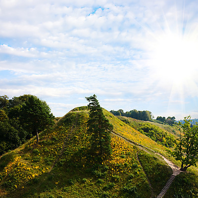 포토 JPG 해외이미지 나무 구름 계절 공원 여행 백그라운드 꽃무늬 밭 농업 자연 하늘 날씨 풍경 잔디 사람없음 야외 초록색 여름 파란색 빛 컬러풀 태양 농장 농경지 환경 맑음 봄 흰색 시골 땅 언덕 장면 천국 내추럴 수평선 해외202004 해외포토 자연요소 식물 공공시설 꽃 산업 컬러 무늬 생태계 파일형식 이미지허브