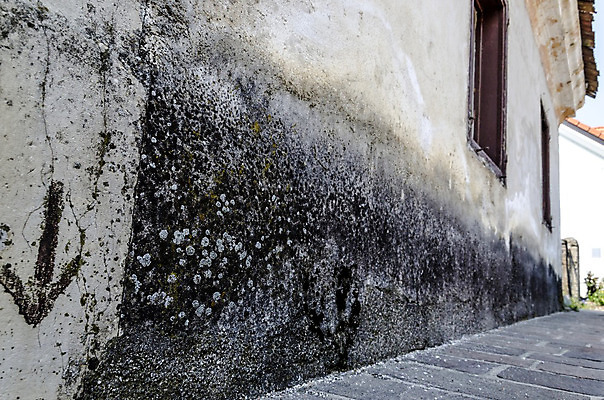 포토 JPG 해외이미지 외관 벽 건축양식 창문 날씨 주택 사람없음 야외 건물 물 문 검은색 손상 습기 젖음 촉촉함 얼룩 수리 수분 버리기 먼지 문제 나쁜 곰팡이 썩음 파멸 해외202004 해외포토 자연요소 건축물 건축 컬러 컨셉 모션 파일형식 소멸 이미지허브