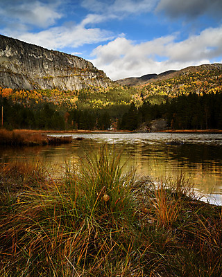 포토 JPG 해외이미지 자연 산 북유럽 노르웨이 풍경 사람없음 야외 강 계곡 가을 삼림지대 스칸디나비아 해외202004 해외포토 계절 유럽 숲 생태계 파일형식 이미지허브