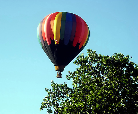 포토 JPG 해외이미지 주간 하늘 나뭇잎 풍경 사람없음 야외 열기구 비행 해외202004 해외포토 자연요소 잎 항공교통 파일형식 이미지허브