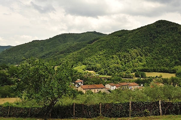 포토 JPG 해외이미지 식물 구름 유럽 농업 자연 포도 파노라마 풍경 사람없음 야외 농장 일몰 봄 이탈리아 성장 농촌 큼 땅 이탈리아문화 조경 포도밭 해외202004 해외포토 자연요소 계절 나라 산업 밭 과일 촬영기법 노을 시골 크기 생태계 유럽문화 파일형식 서양문화 외국문화 문화 이미지허브
