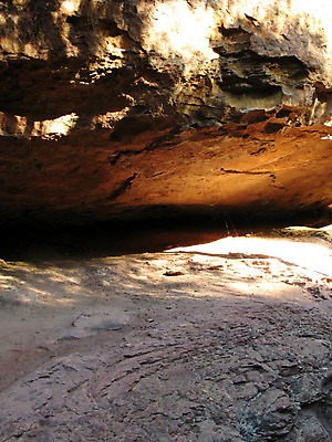 포토 JPG 해외이미지 나무 공원 백그라운드 잎 산 풍경 사람없음 야외 초록색 파란색 트래킹 하이킹 호주 숲 질감 전국 해외202004 해외포토 식물 공공시설 컬러 레저 오세아니아 파일형식 이미지허브