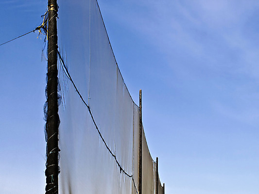 포토 JPG 해외이미지 구름 스포츠 백그라운드 패턴 골프 하늘 추상 사람없음 파란색 검은색 회색 운전 흰색 그물 눈금 봉 해외202004 해외포토 자연요소 컬러 무늬 모션 구기 파일형식 이미지허브