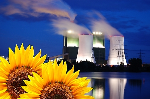 포토 JPG 해외이미지 식물 꽃 산업 지구 컨셉 자연 해바라기 사람없음 초록색 파란색 태양 노란색 환경 힘 재활용 에너지 보호 에코 연료 가스 자원 세대 원자력 바이오 생태학 석탄 공급 해외202004 해외포토 자연요소 교육 컬러 친환경 생태계 파일형식 이미지허브