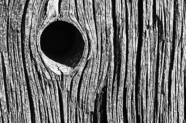 포토 JPG 해외이미지 디자인 감정 백그라운드 농업 곡선 사람없음 빛 검은색 흰색 시간 구멍 역사 보호 심볼 복고 과거 외양간 옛날 해외202004 해외포토 산업 선 컬러 컨셉 파일형식 이미지허브