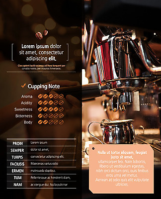 PSD 템플릿 표지디자인 북디자인 손 출판디자인 내지 커피 리플렛 2단접지 북커버 한손 팜플렛 신체부위 카페 원두 커피메이커 바리스타 이미지템플릿 직업 음료 사람 상점 커피용품 파일형식