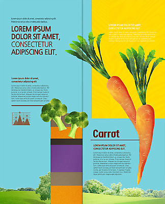 PSD 템플릿 표지디자인 북디자인 출판디자인 내지 리플렛 2단접지 북커버 그래프 팜플렛 사람없음 당근 브로콜리 유기농 이미지템플릿 웰빙 채소 뿌리채소 파일형식