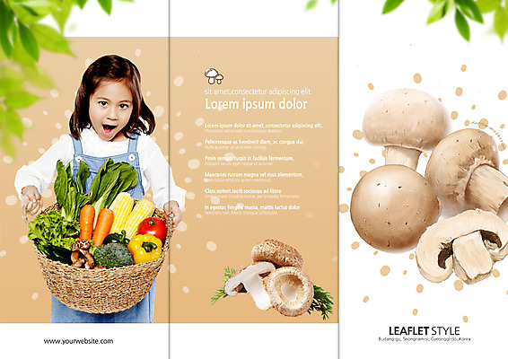 PSD 서양인 템플릿 표지디자인 북디자인 출판디자인 여자 내지 어린이 리플렛 채소 북커버 3단접지 피망 나뭇잎 옥수수 한명 들기 팜플렛 바구니 버섯 당근 브로콜리 유기농 청경채 이미지템플릿 외국인 1 웰빙 잎 모션 곡류 뿌리채소 사람 파일형식