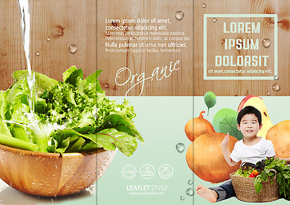 PSD 템플릿 표지디자인 북디자인 출판디자인 표지 남자 어린이 리플렛 채소 북커버 3단접지 양파 한명 팜플렛 물 바구니 한국인 신선 상추 유기농 이미지템플릿 자연요소 1 웰빙 사람 동양인 파일형식