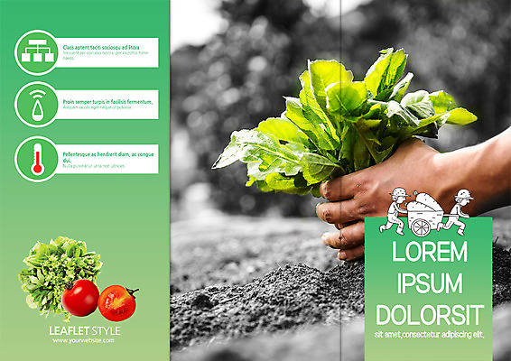 PSD 템플릿 표지디자인 북디자인 손 출판디자인 표지 남자 리플렛 북커버 3단접지 방울토마토 팜플렛 성인 두명 신체부위 수레 양손 수확 농부 상추 유기농 이미지템플릿 직업 웰빙 농업 토마토 채소 사람 카트 파일형식