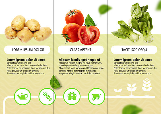 PSD 템플릿 표지디자인 북디자인 출판디자인 내지 리플렛 토마토 채소 북커버 3단접지 나뭇잎 감자 팜플렛 사람없음 유기농 청경채 이미지템플릿 웰빙 잎 파일형식