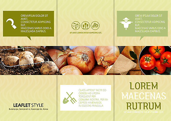 PSD 템플릿 표지디자인 북디자인 출판디자인 표지 리플렛 토마토 채소 북커버 3단접지 양파 감자 팜플렛 사람없음 바구니 수확 유기농 이미지템플릿 웰빙 농업 파일형식